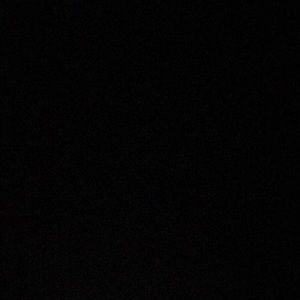 Meet your Posher, Gracie